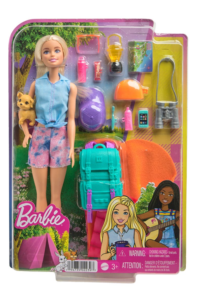 Barbie <sup>®</sup> It Takes Two Camping Doll With Puppy & Accessories, Main, color, Asst