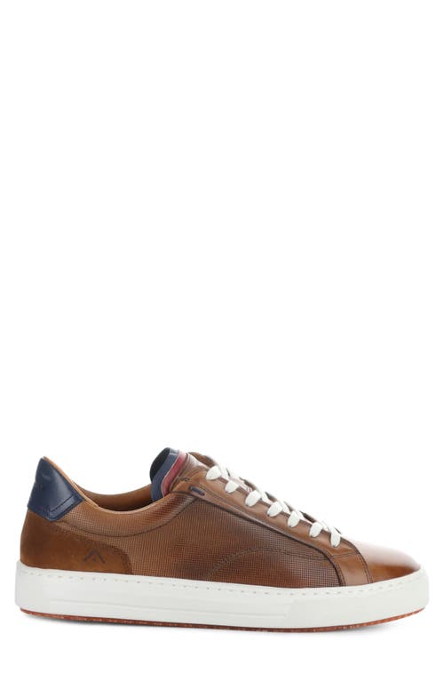 Ambitious 11218 Low Top Sneaker In Camel Leather/suede
