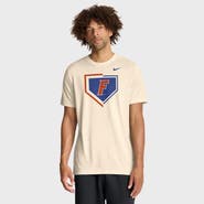 Nike Men's Nike Natural Florida Gators Primetime Baseball Icon Legend Dri-FIT T-Shirt