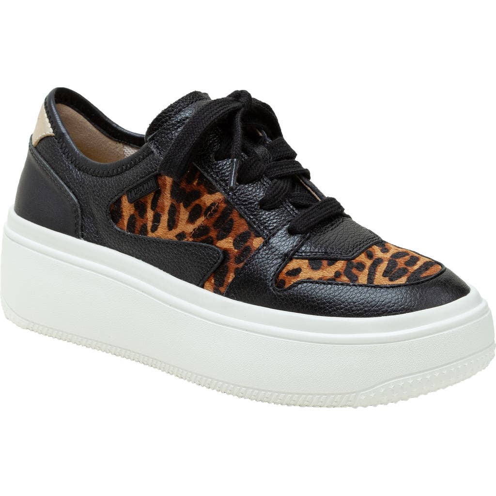 Linea Paolo Gains Genuine Calf Hair Platform Sneaker in Black/Cognac-Black