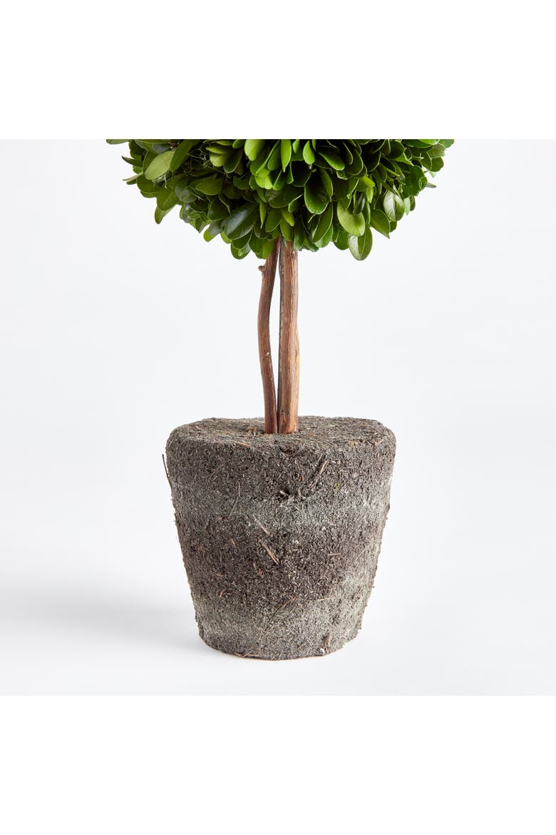 Boxwood Double Sphere Topiary Drop-In 20", Alternate, color, Green
