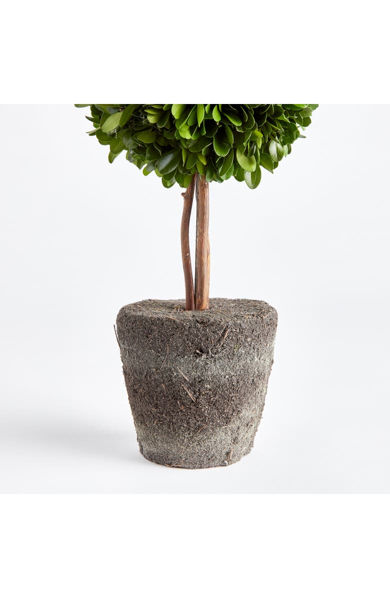 Napa Home & Garden Boxwood Double Sphere Topiary Drop-In 20", Alternate, color, Green