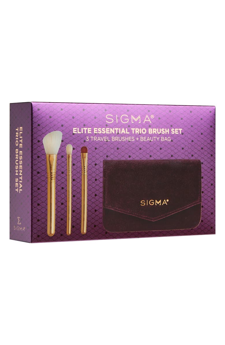 Sigma Beauty Elite Essential Brush Set USD $50 Value, Alternate, color,