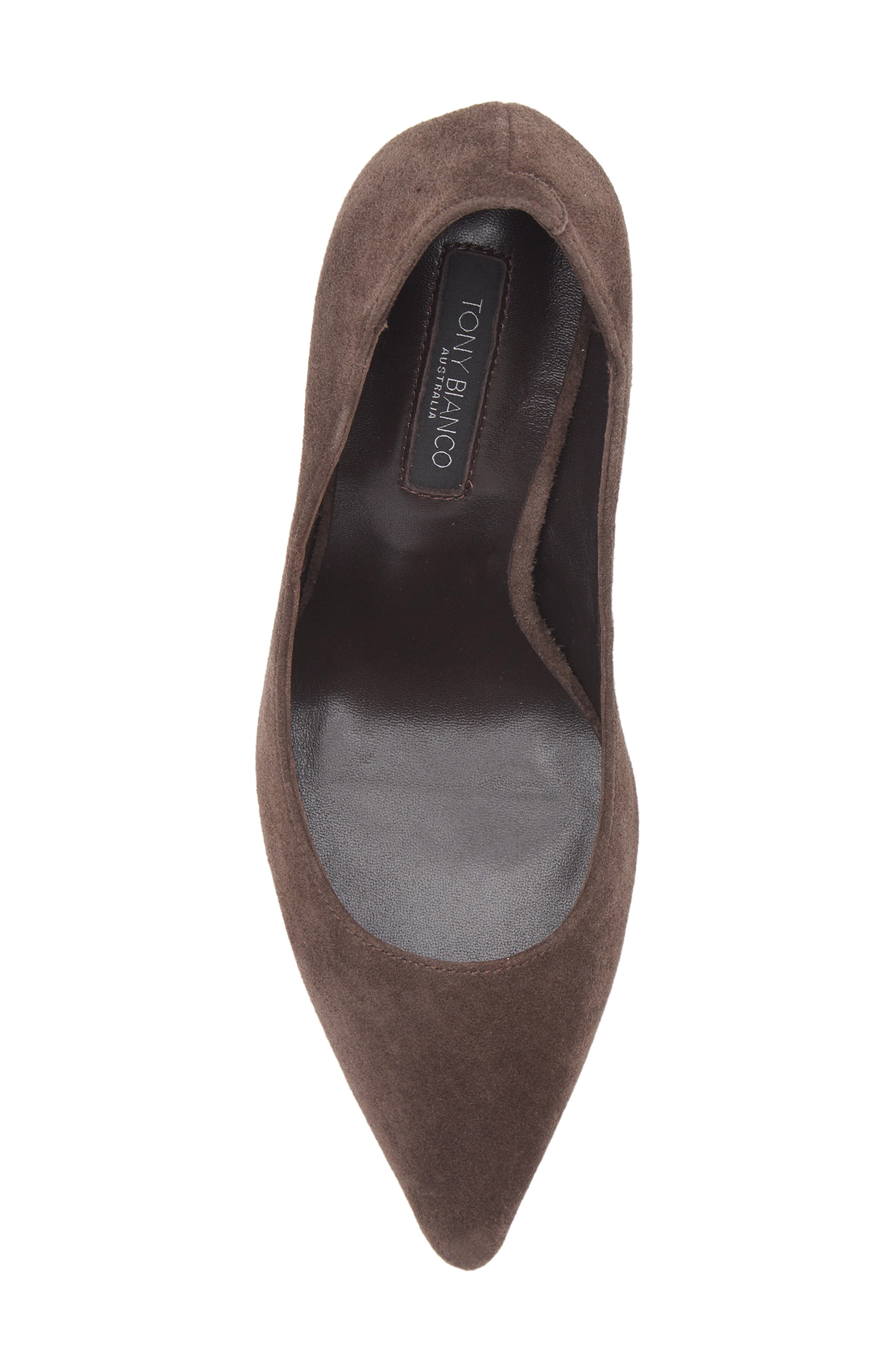 Anja Pointed Toe Pump, Alternate, color, ESPRESSO SUEDE
