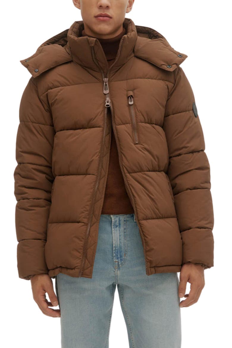 Baltimore Puffer, Main, color, EARTH