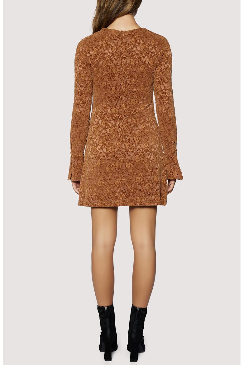 Venetian Grace Lace Long Sleeve Minidress, Alternate, color, COFFEE