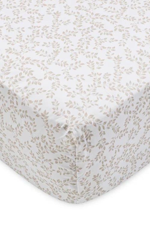 Domani Home Cotton Crib Sheet In Naya