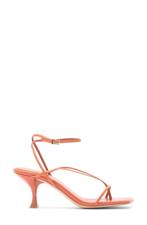 Jeffrey Campbell Fluxx Sandal