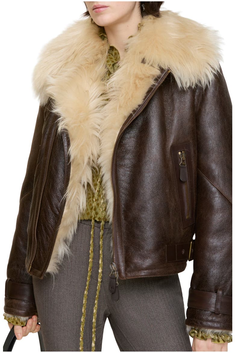 Cropped Shearling Aviator Jacket, Main, color, Dark brown