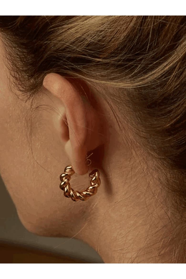 Rope Hoop Earrings Perfect for Any Occasion, Alternate, color, Gold