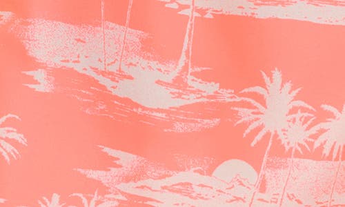 Rip Curl Dreamers Volley Swim Trunks In Coral