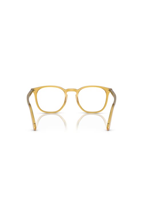 Persol 49mm Phantos Optical Glasses In Gold