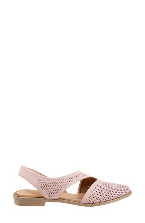 Bueno Bianca Perf Slingback Pointed Toe Flat