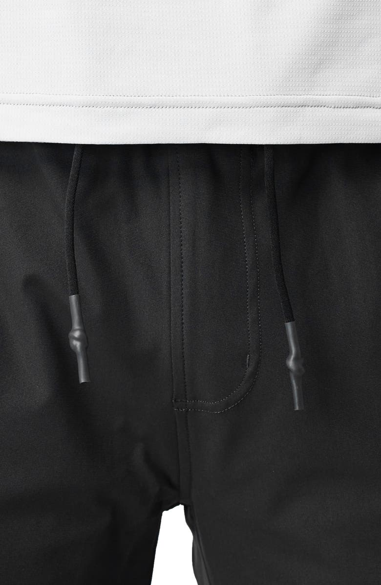 Western Rise Spectrum Performance Joggers, Alternate, color, 