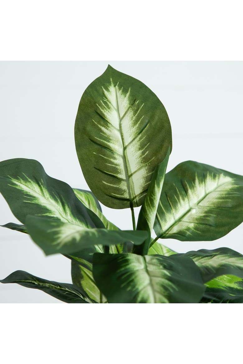 20-in Artificial Golden Dieffenbachia Plant - Set of 6, Alternate, color, Green