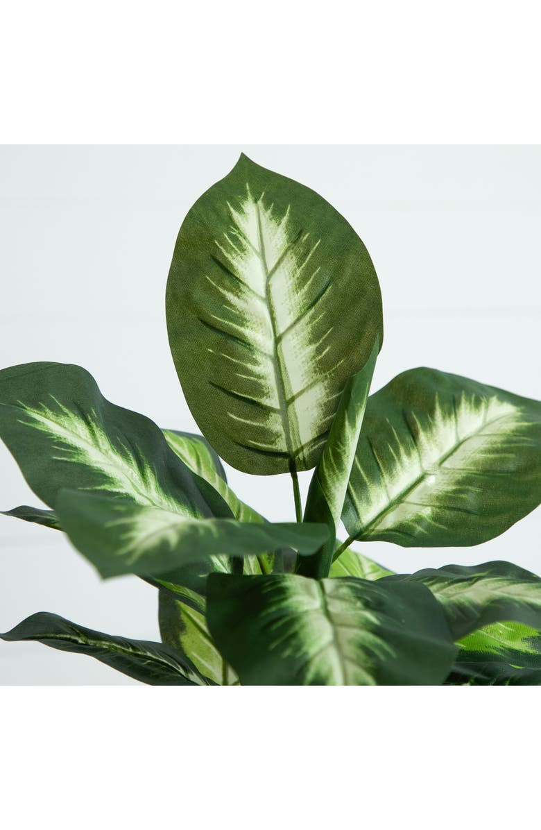 NEARLY NATURAL 20-in Artificial Golden Dieffenbachia Plant - Set of 6, Alternate, color, Green