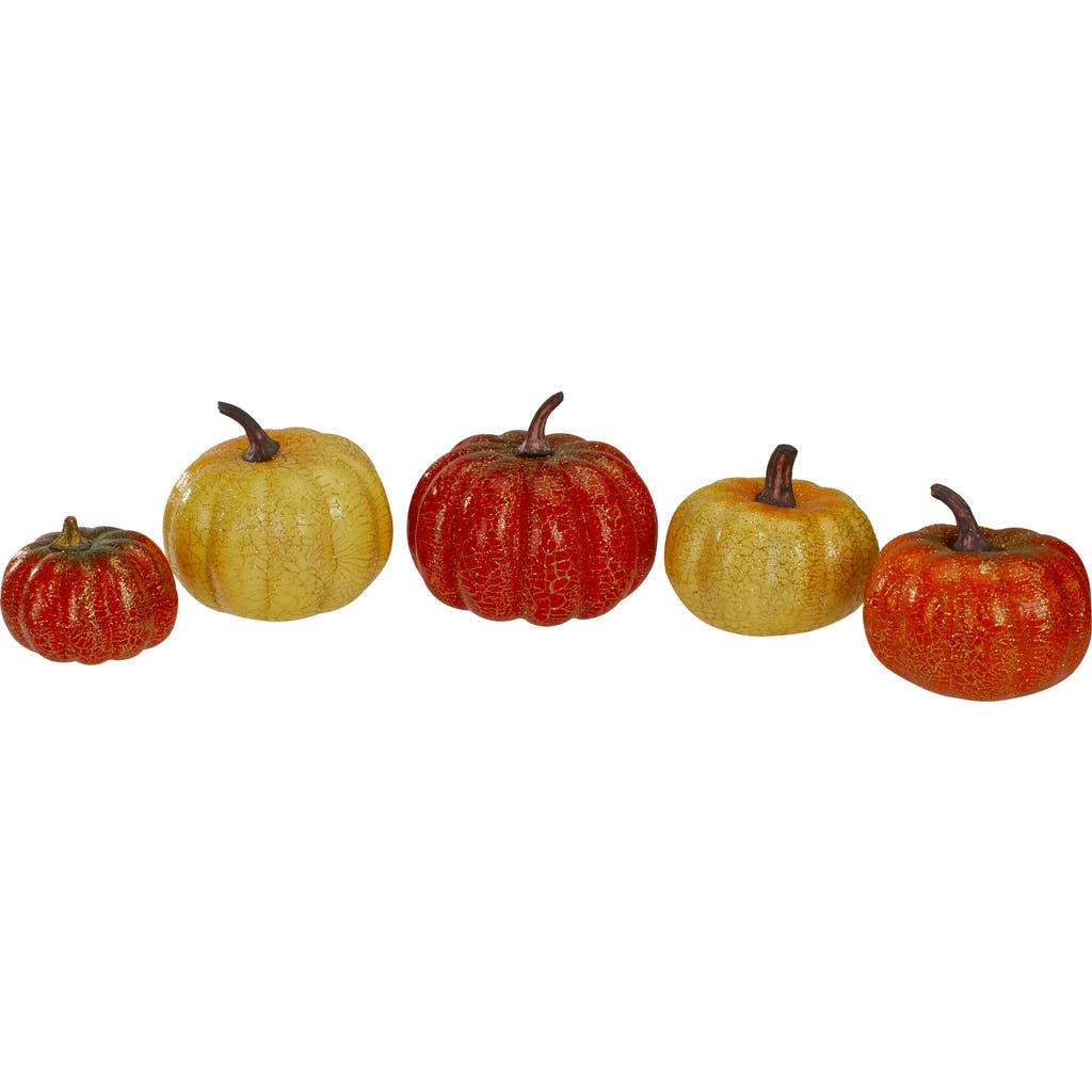 Northlight Set Of 5 Artificial Fall Harvest Pumpkins Decorations In Multi