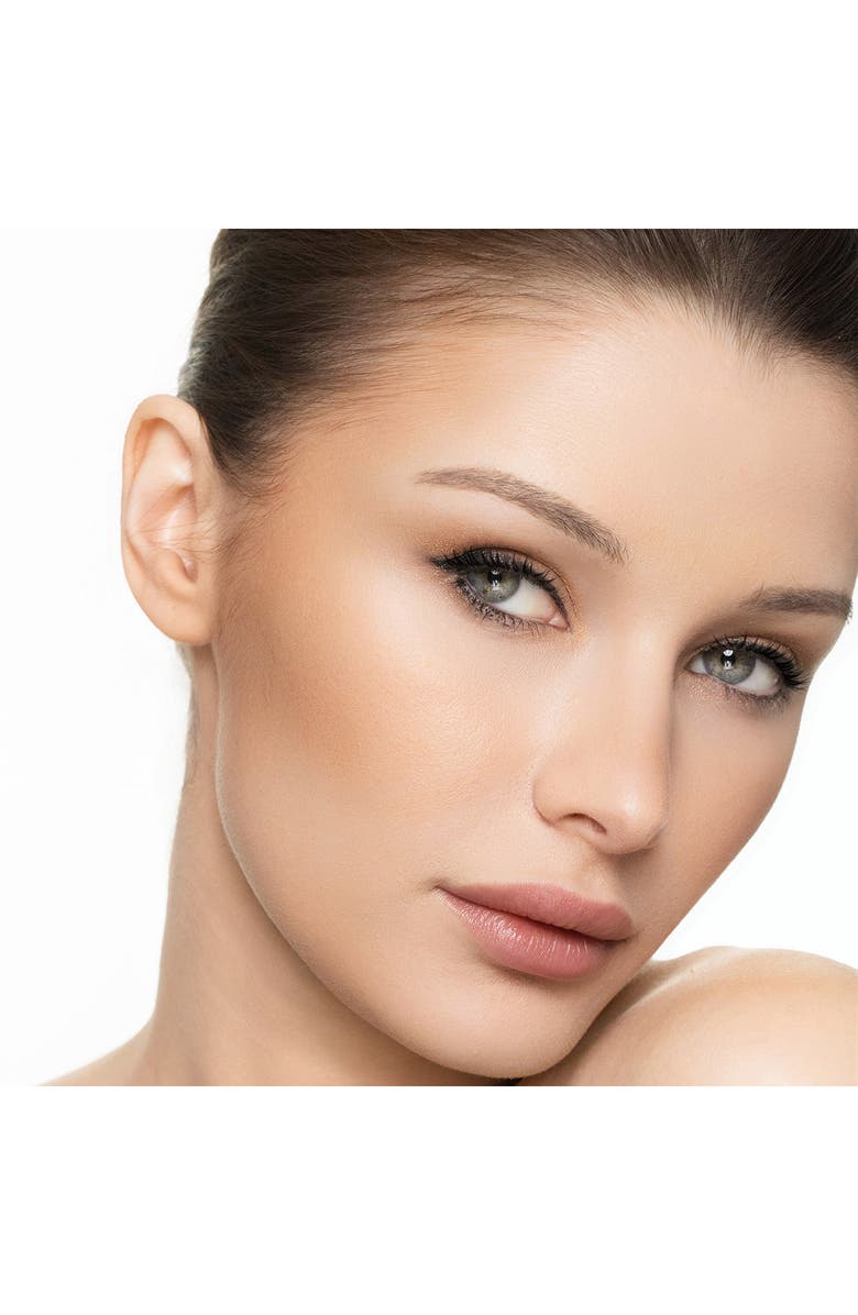 Trish McEvoy Dual Resort Powder Bronzer Refill, Alternate, color, Dual Resort