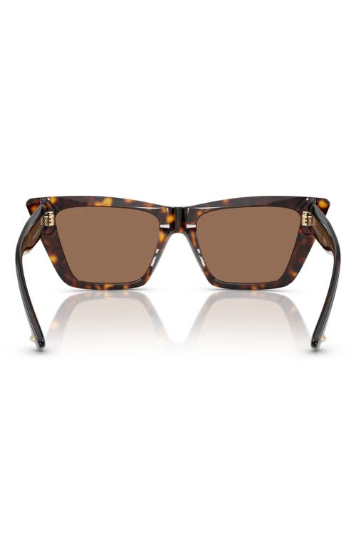 Jimmy Choo 53mm Cat Eye Sunglasses In Havana