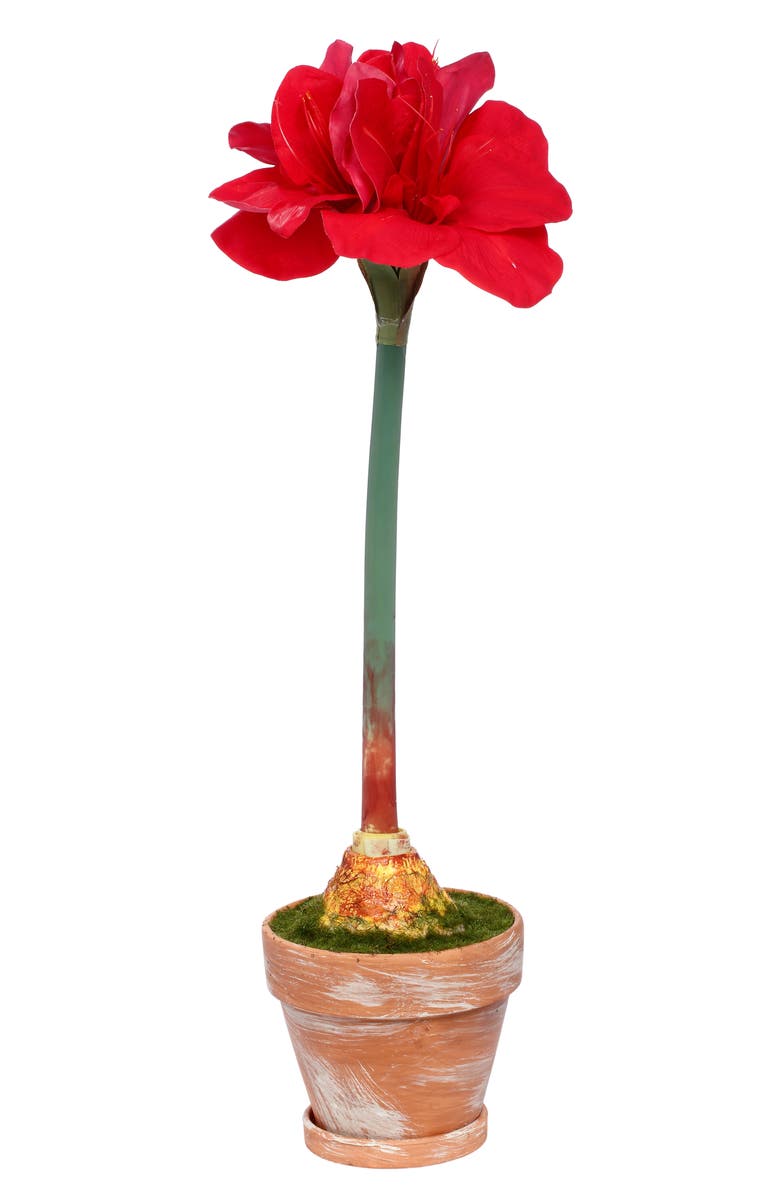 Mark Roberts Potted Amaryllis Flower, Set of 2, Main, color, Red