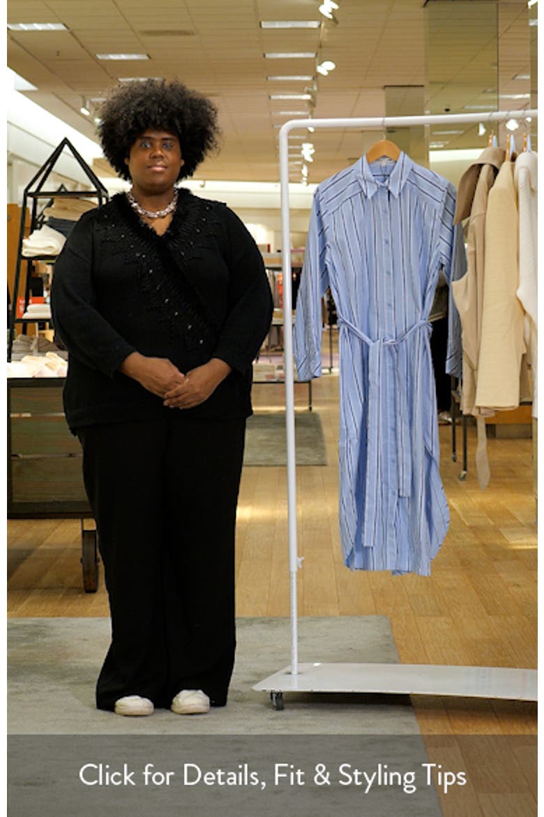 Stripe Long Sleeve Maxi Shirtdress video