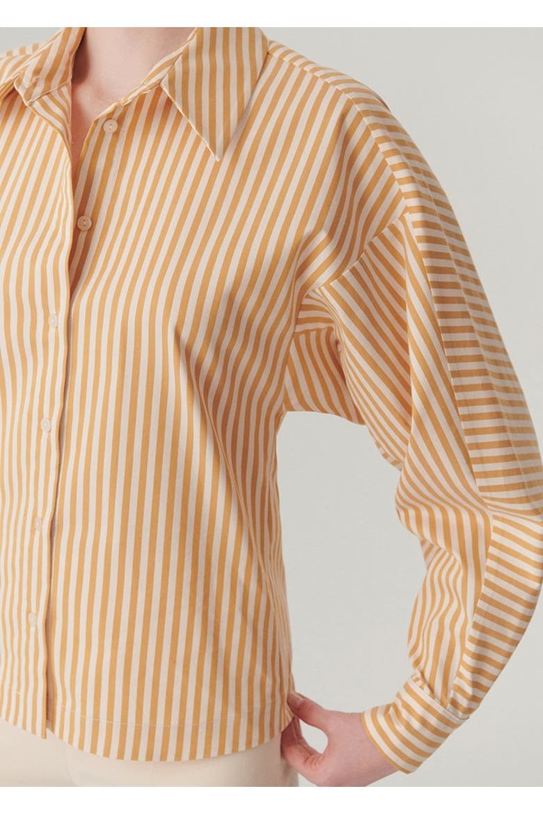 Emersyn Cotton Shirt, Alternate, color, CAMEL BEIGE