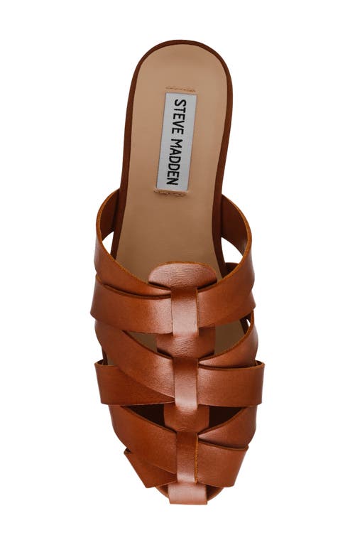 Steve Madden Jansen Mule In Tan Leather