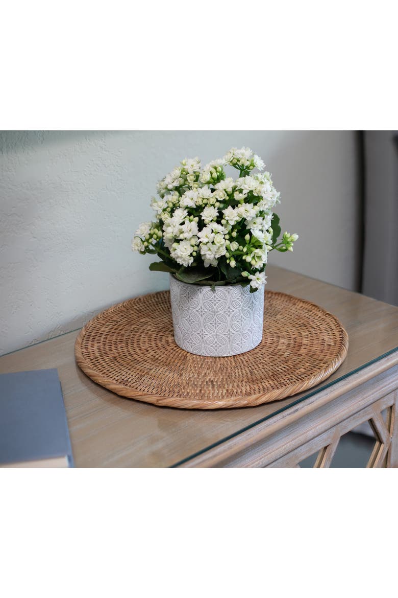 Round Rattan Placemat, Alternate, color, Honey Brown