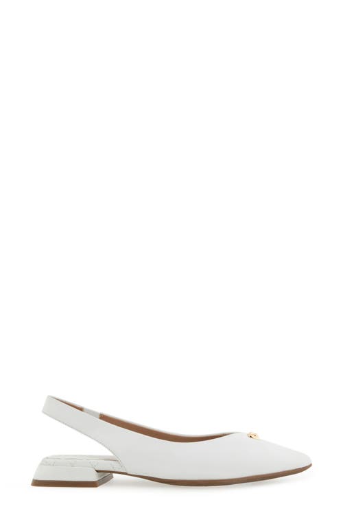 AEROSOLES AEROSOLES NAYANA POINTED TOE SLINGBACK FLAT