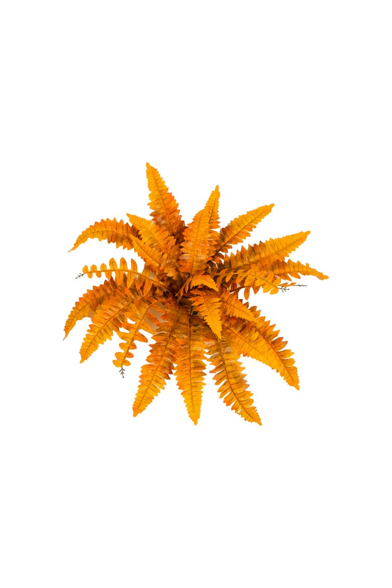 19-in Autumn Artificial Fall Boston Fern - Set of 6, Main, color, Orange