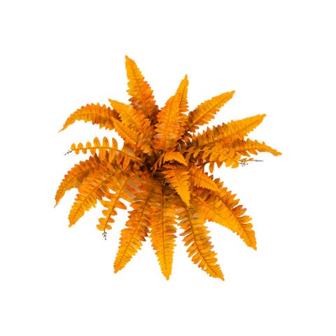 19-in Autumn Artificial Fall Boston Fern - Set of 6