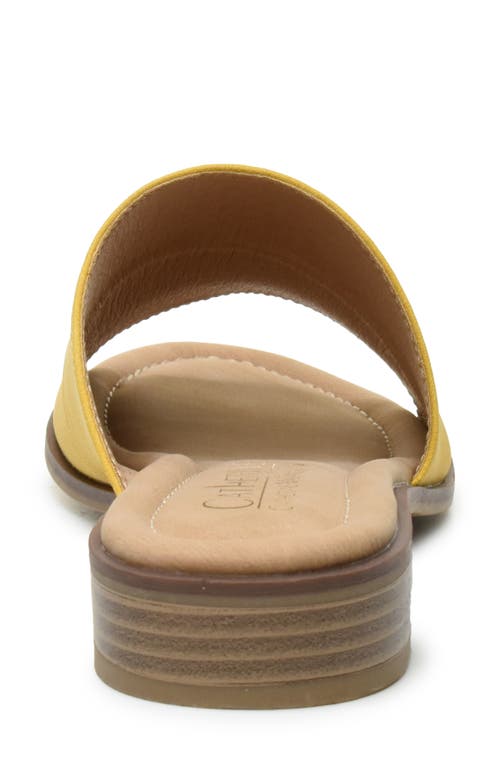Catherine Catherine Malandrino Danielle Slide Sandal In Mustard Nubuck