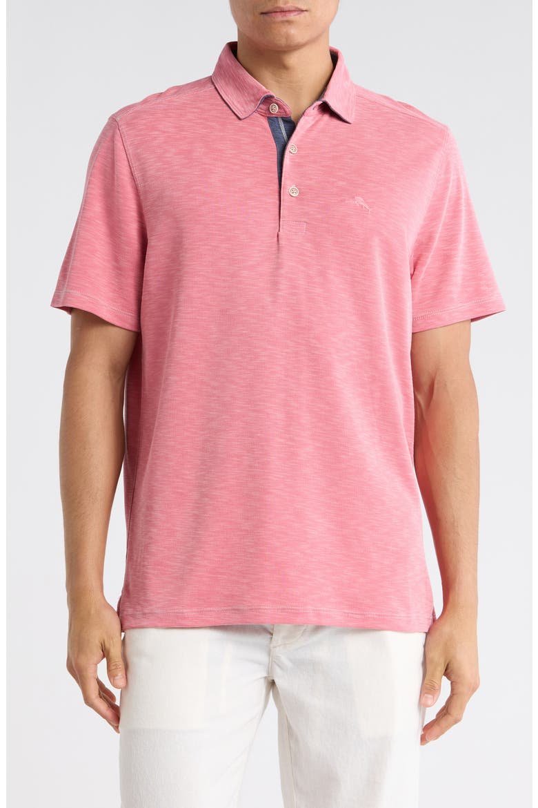 Paradiso Polo, Main, color, CLARETE
