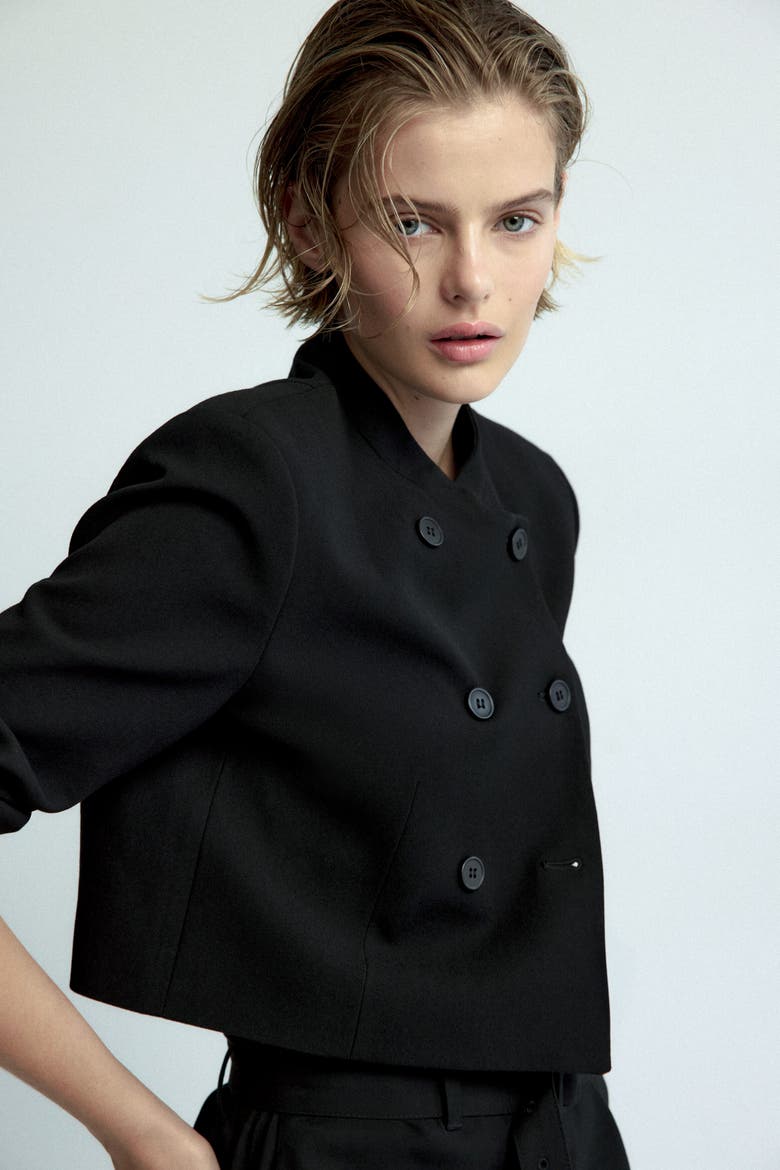 Double-breasted Crop Jacket, Alternate, color, Black