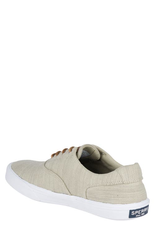 Sperry Striper Ii Cvo Sneaker In Light Pastel Grey