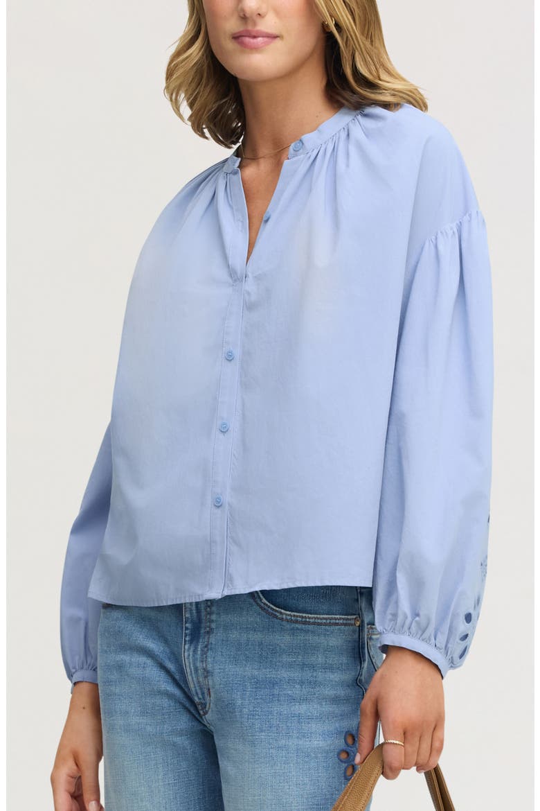Embroidered Sleeve Top, Main, color, AZURE BLUE