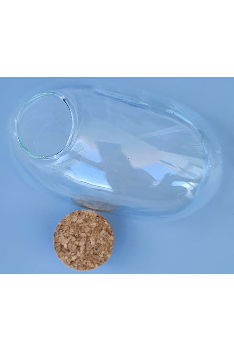 Mouse Glass Terrarium with Cork Lid, Alternate, color, Clear