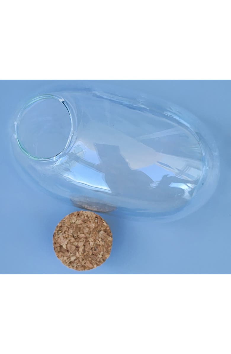 Unique Gardener Mouse Glass Terrarium with Cork Lid, Alternate, color, Clear