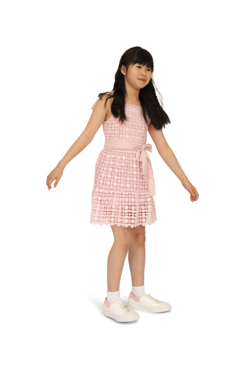 Rosy Mini Lace Dress, Alternate, color, Dusty Rose