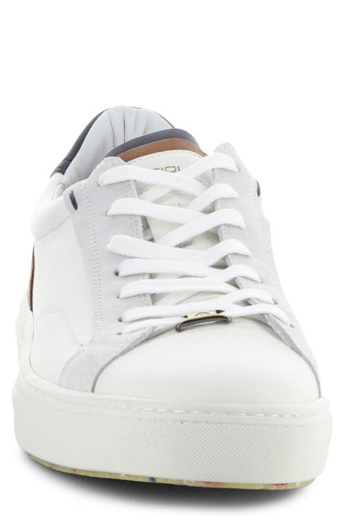 AMBITIOUS AMBITIOUS 11218 LOW TOP SNEAKER 