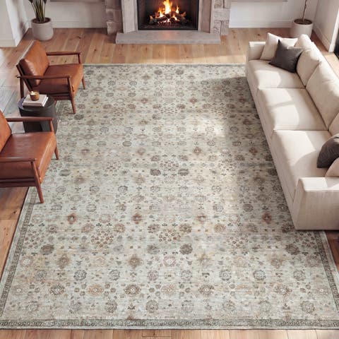 Petunia Distressed All-Over Floral Border Non-Slip Machine-Washable Rug