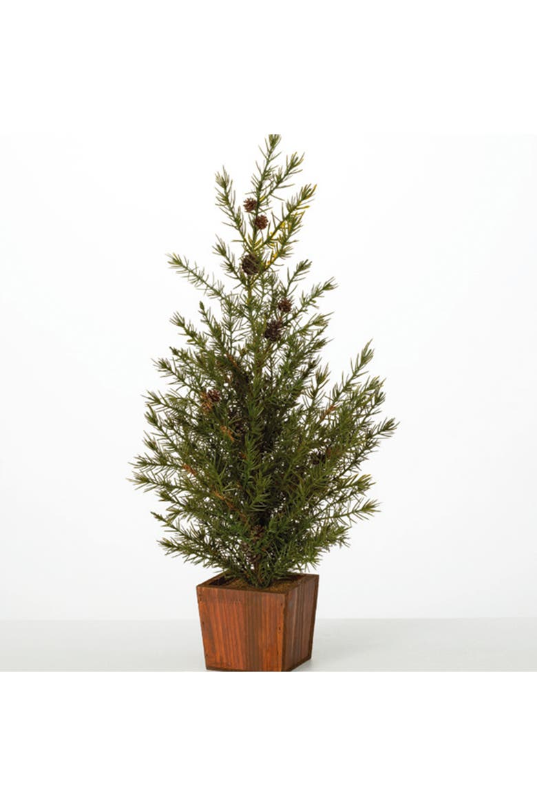 Sullivan's Christmas Potted Cedar Tree 25.25 Inch, Main, color, Green