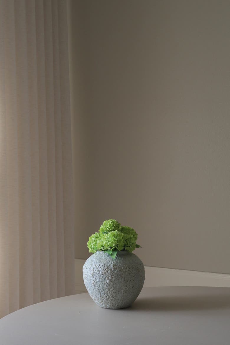 Green Mini Snowball Hydrangea, Alternate, color, Green