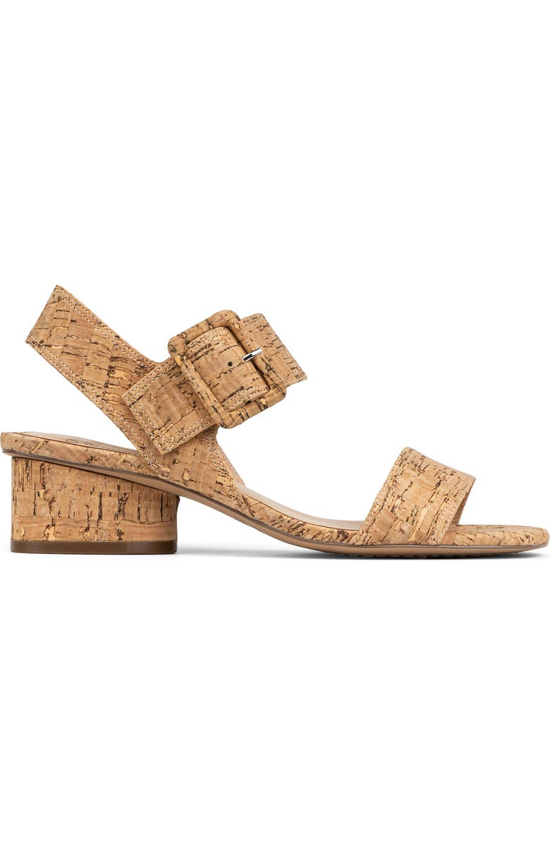 Donald Pliner Mobie Ankle Strap Sandal, Alternate, color, Natural