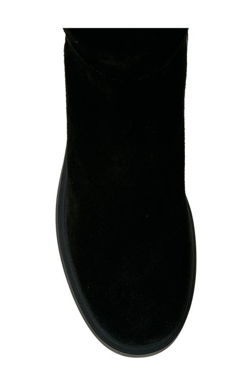 AQUATALIA AQUATALIA HALENA WEATHERPROOF TALL BOOT