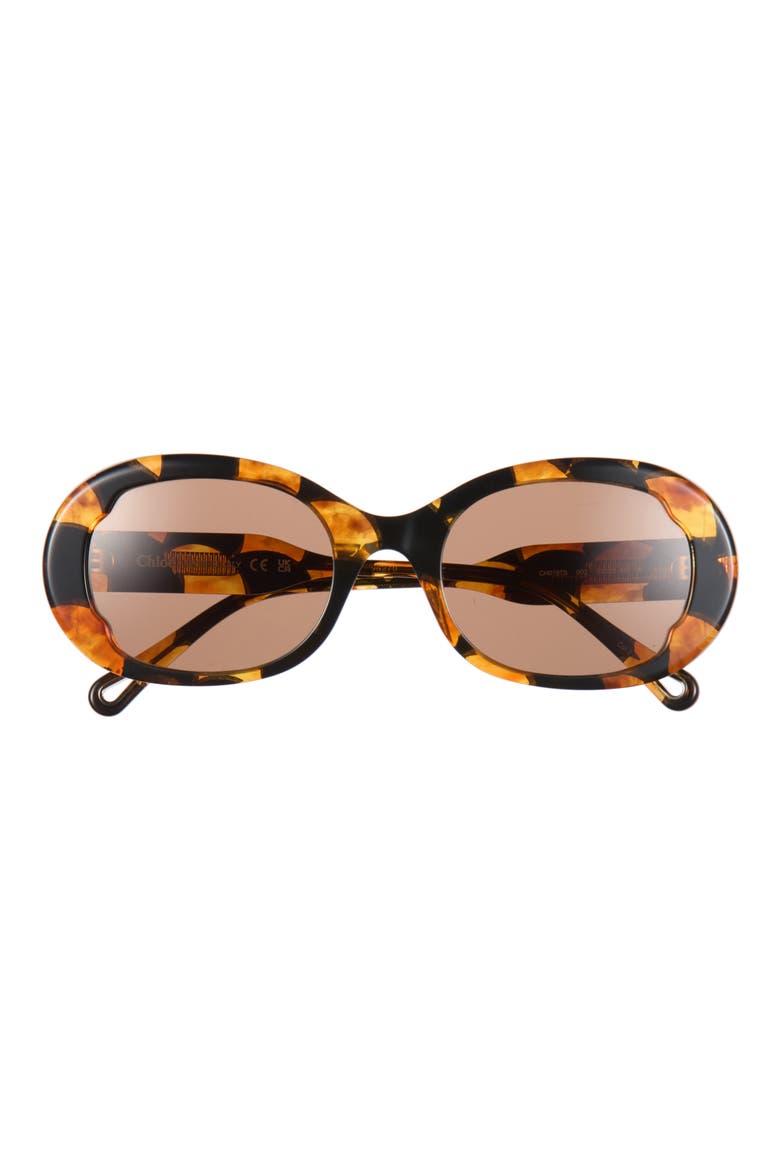 Oval Sunglasses, Main, color, HAVANA HAVANA BROWN