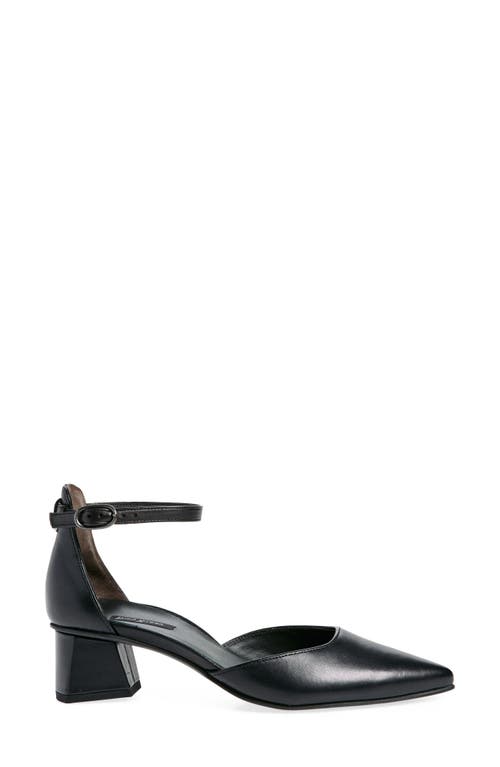 Paul Green Willa Pump