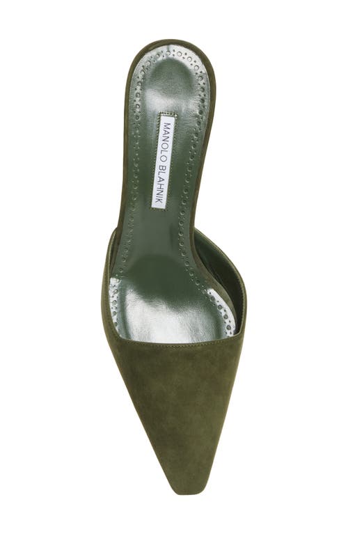 Manolo Blahnik Moiramu Pointed Toe Kitten Heel Mule