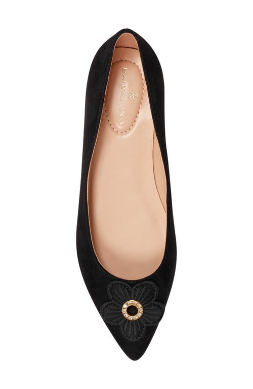 BANDOLINO BANDOLINO STARRY POINTED TOE FLAT