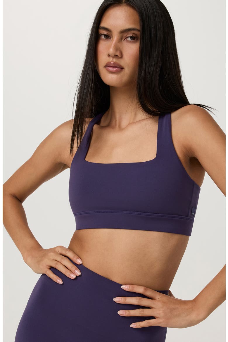 Daily Form Sports Bra, Alternate, color, VELVET VIOLET